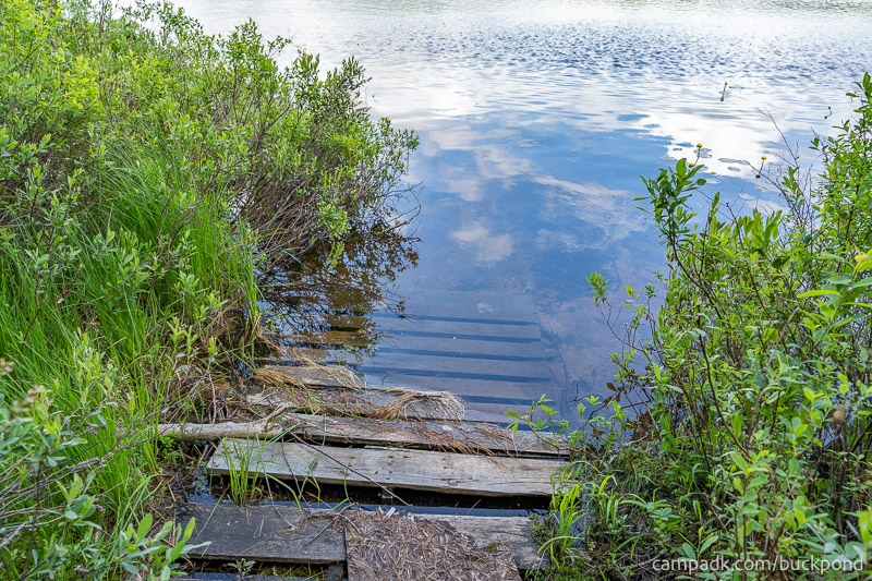 Campsite Photo of Site 7 at Buck Pond Campground, New York - Shoreline