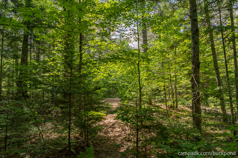 Campsite Photo of Site 7 at Buck Pond Campground, New York - Returning Along Pathway from Water