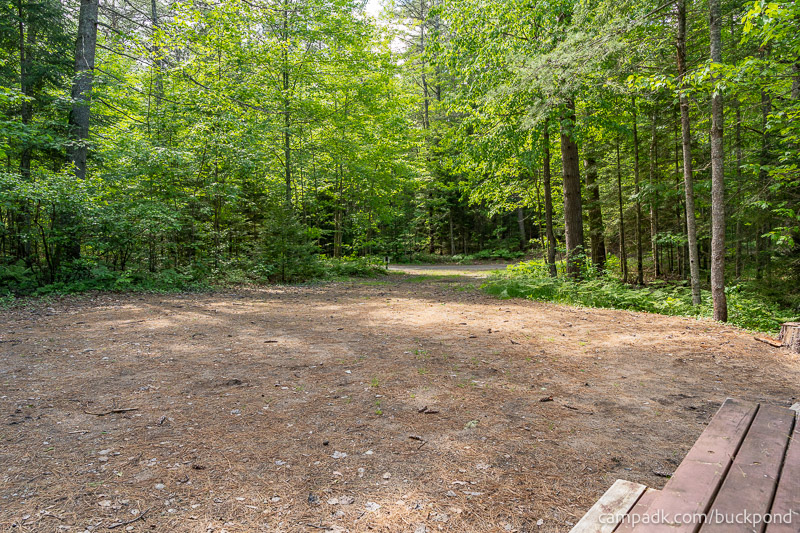 Campsite Photo of Site 7 at Buck Pond Campground, New York - Looking Back Towards Road