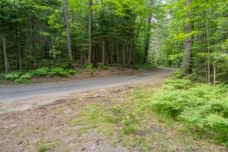 Campsite Photo of Site 7 at Buck Pond Campground, New York - Looking Back Towards Road