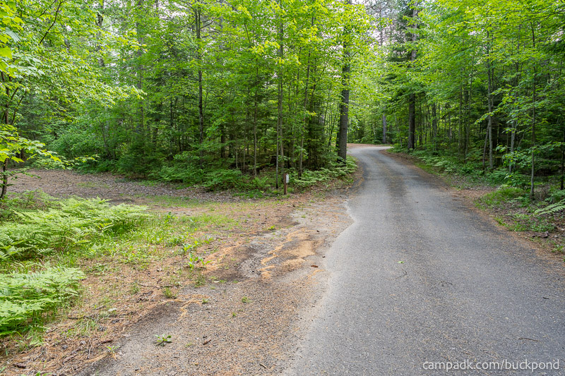 Campsite Photo of Site 7 at Buck Pond Campground, New York - View Down Road from Campsite