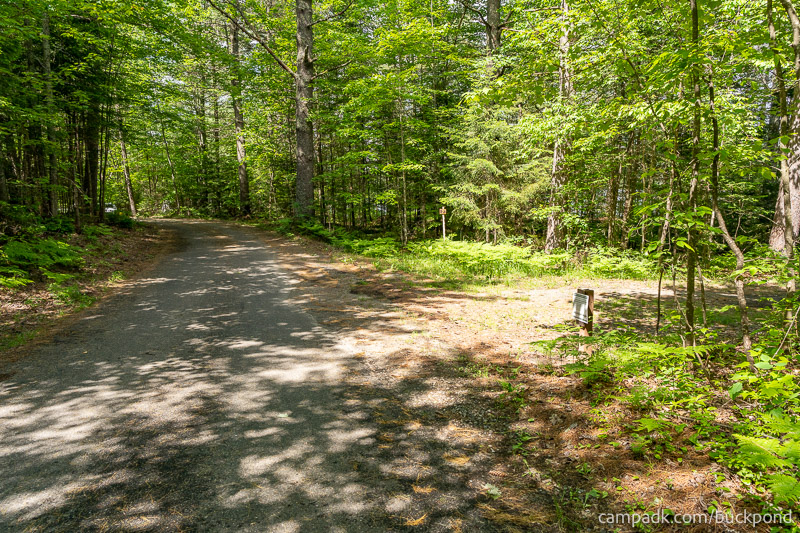 Campsite Photo of Site 7 at Buck Pond Campground, New York - View Down Road from Campsite