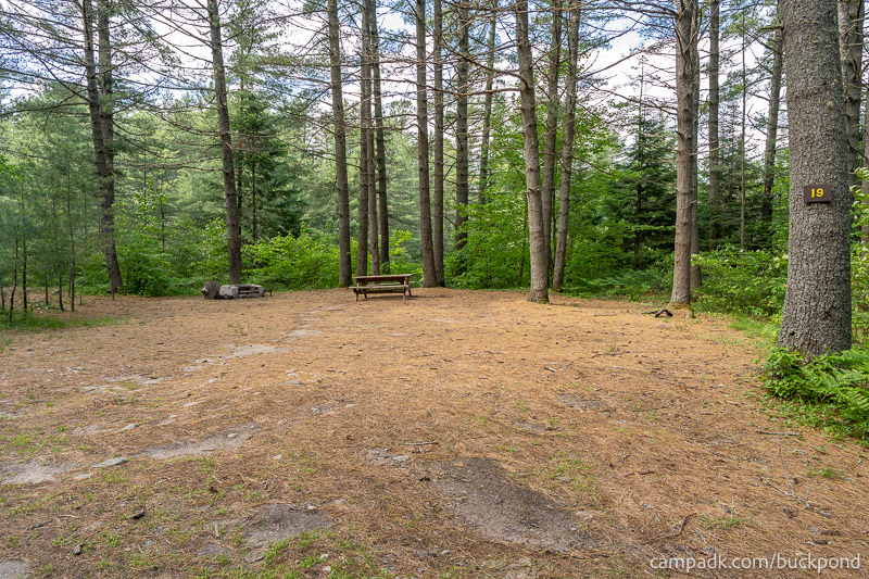 Campsite Photo of Site 19 at Buck Pond Campground, New York - Looking at Site from Part Way In