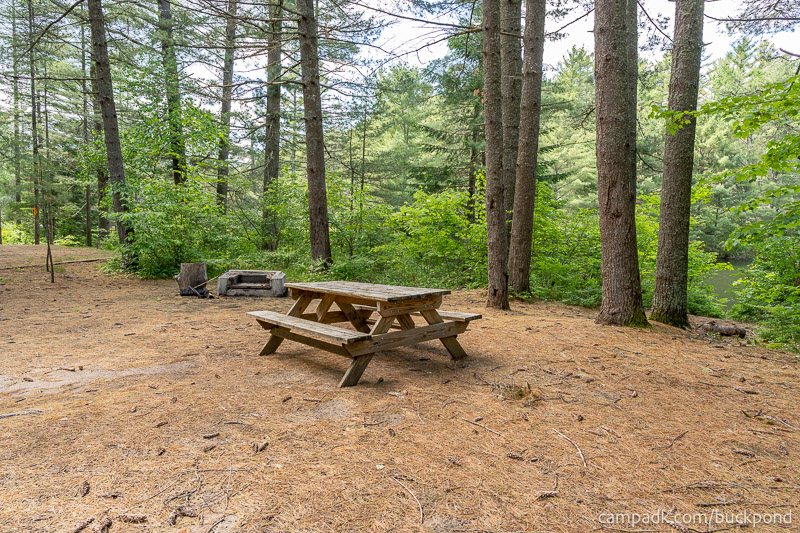 Campsite Photo of Site 19 at Buck Pond Campground, New York - Cross Site View