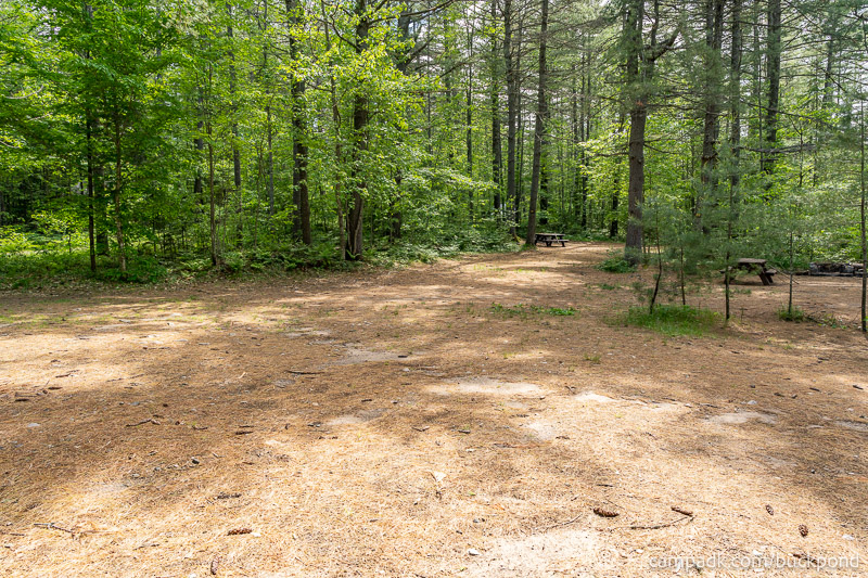 Campsite Photo of Site 19 at Buck Pond Campground, New York - Cross Site View