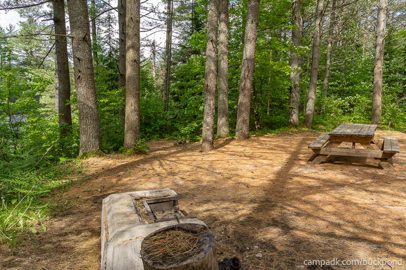 Campsite Photo of Site 19 at Buck Pond Campground, New York - Cross Site View