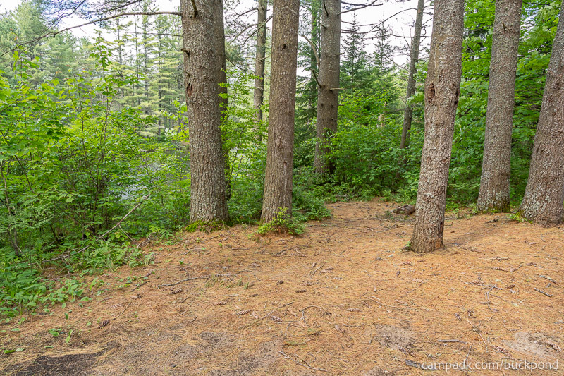 Campsite Photo of Site 19 at Buck Pond Campground, New York - Pathway Down to Water