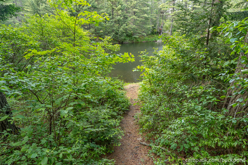 Campsite Photo of Site 19 at Buck Pond Campground, New York - Pathway Down to Water