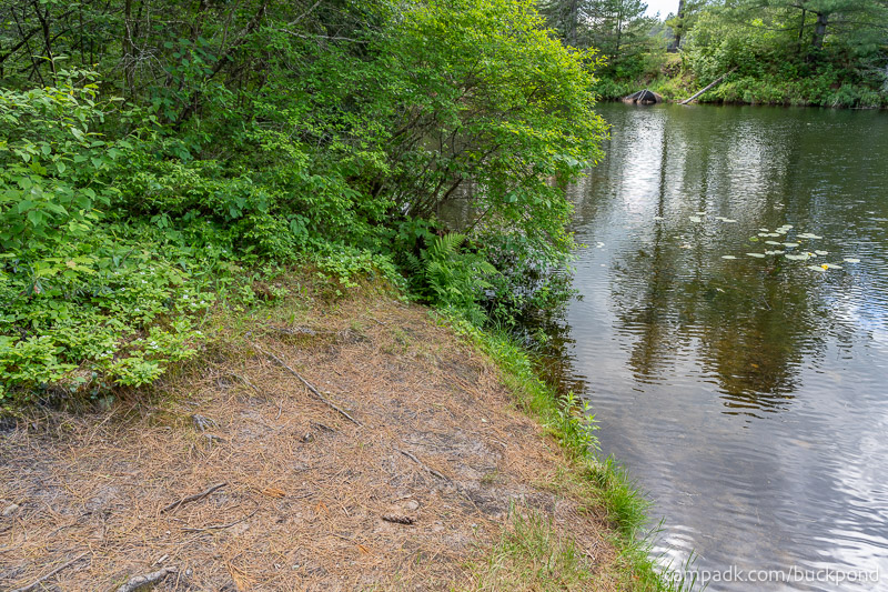 Campsite Photo of Site 19 at Buck Pond Campground, New York - Shoreline