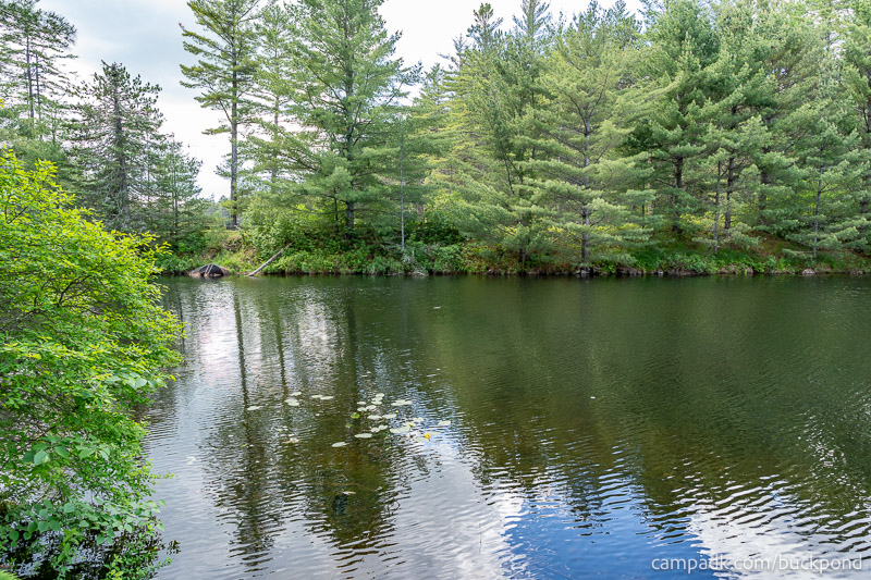 Campsite Photo of Site 19 at Buck Pond Campground, New York - View from Shoreline