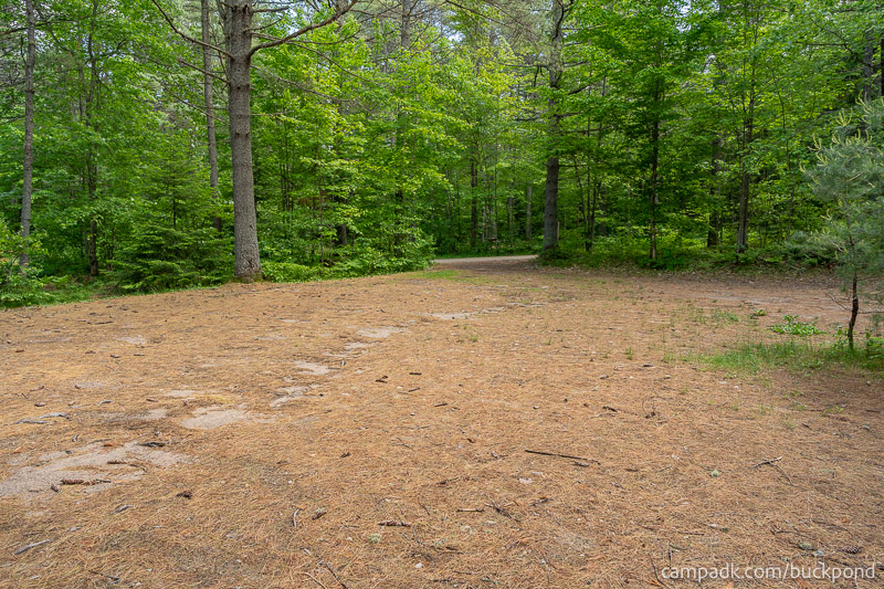 Campsite Photo of Site 19 at Buck Pond Campground, New York - Looking Back Towards Road
