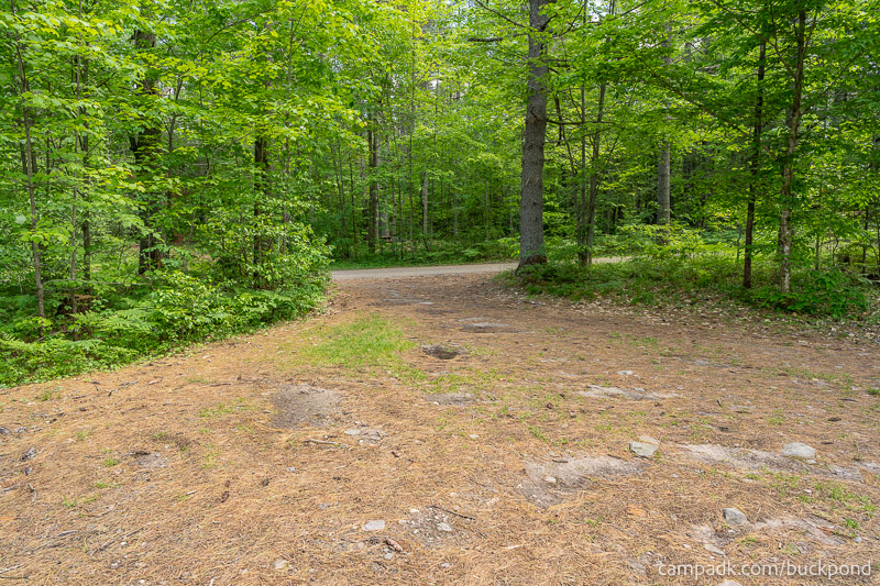 Campsite Photo of Site 19 at Buck Pond Campground, New York - Looking Back Towards Road