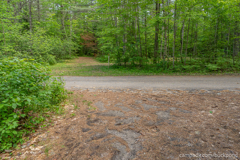Campsite Photo of Site 19 at Buck Pond Campground, New York - Looking Back Towards Road