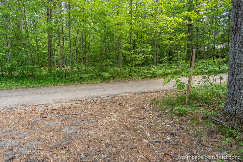 Campsite Photo of Site 19 at Buck Pond Campground, New York - Looking Back Towards Road