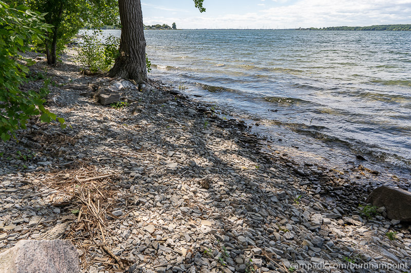 Campsite Photo of Site 47 at Burnham Point State Park, New York - Shoreline