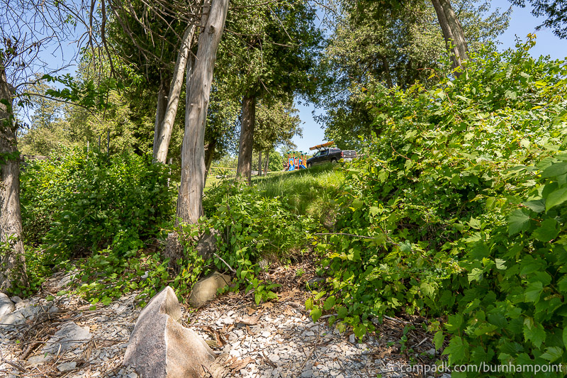 Campsite Photo of Site 47 at Burnham Point State Park, New York - Returning Along Pathway from Water