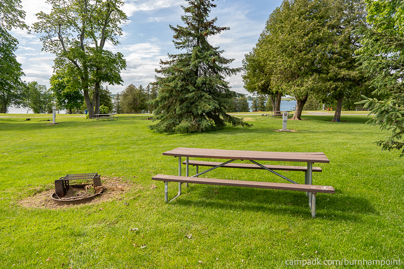 Campsite Photo of Site 8 at Burnham Point State Park, New York - Looking at Site from Road Sign Visible