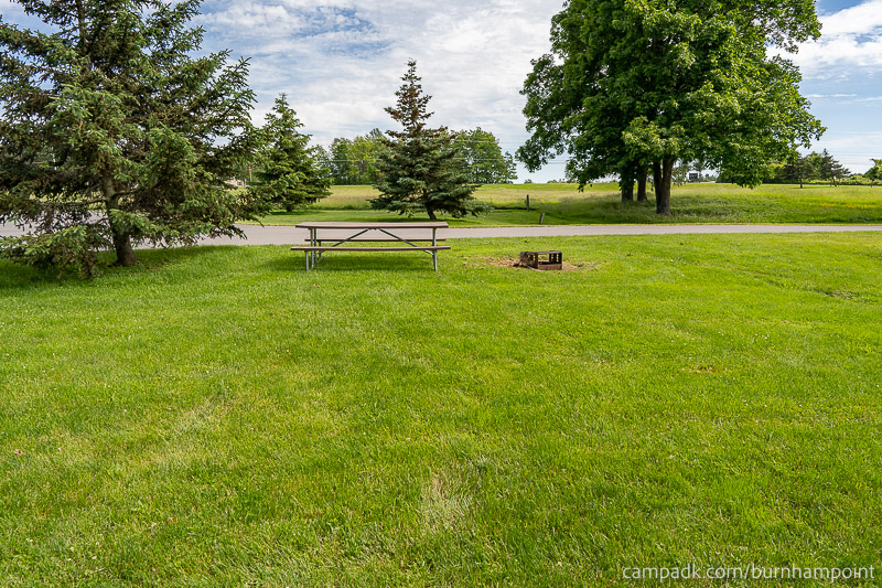 Campsite Photo of Site 8 at Burnham Point State Park, New York - Looking Back Towards Road