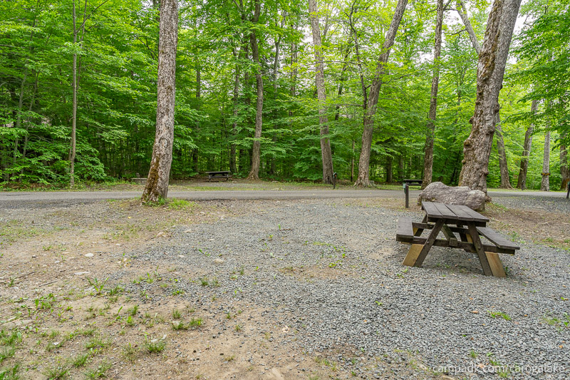 Campsite Photo of Site 2 at Caroga Lake Campground, New York - Looking Back Towards Road
