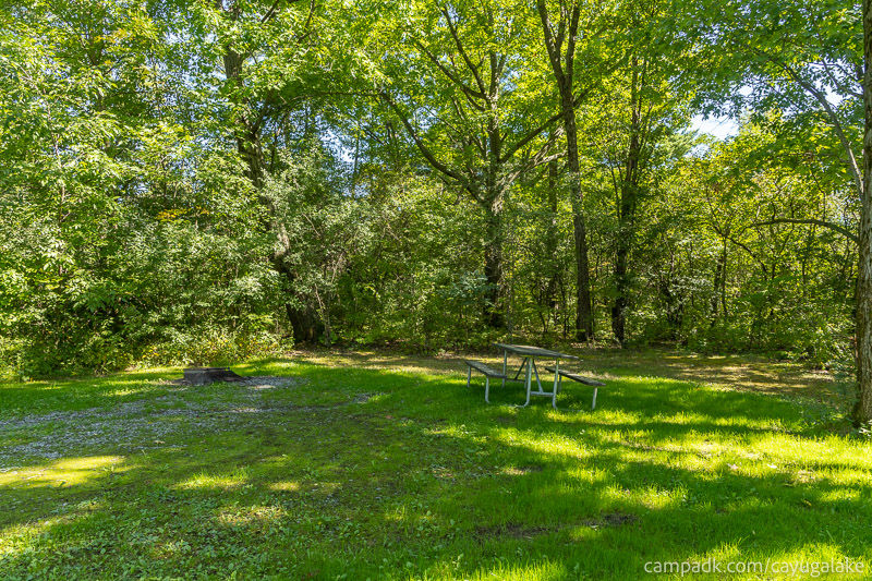 Campsite Photo of Site 712 at Cayuga Lake State Park, New York - Cross Site View