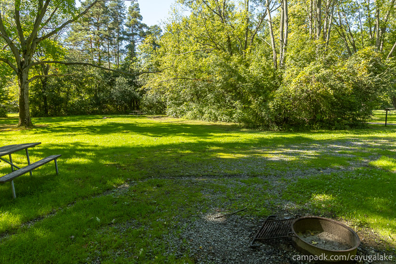 Campsite Photo of Site 712 at Cayuga Lake State Park, New York - Cross Site View