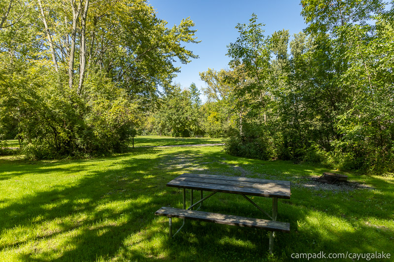 Campsite Photo of Site 712 at Cayuga Lake State Park, New York - Looking Back Towards Road