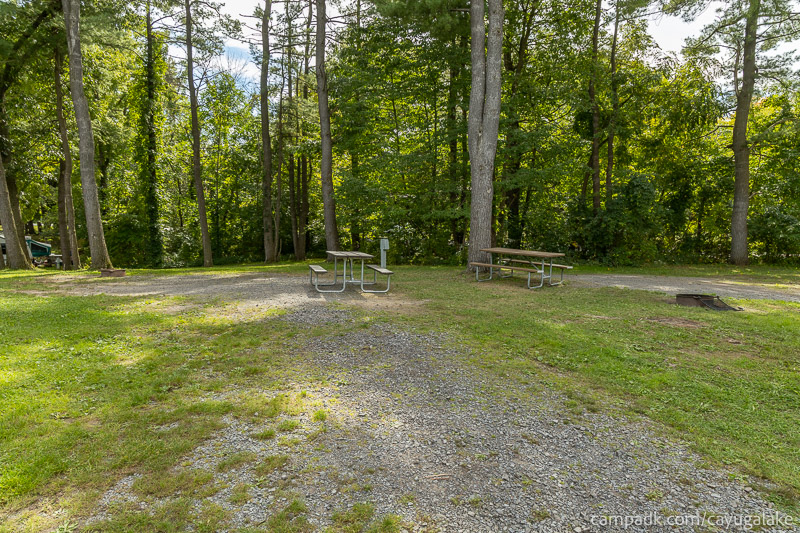 Campsite Photo of Site 12 at Cayuga Lake State Park, New York - Looking at Site from Road