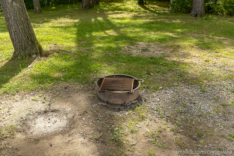 Campsite Photo of Site 12 at Cayuga Lake State Park, New York - Fireplace View