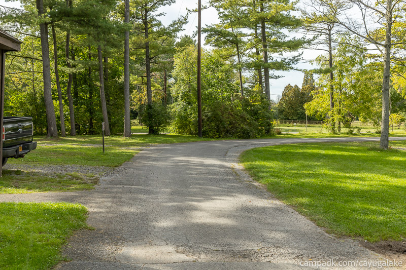 Campsite Photo of Site 12 at Cayuga Lake State Park, New York - View Down Road from Campsite