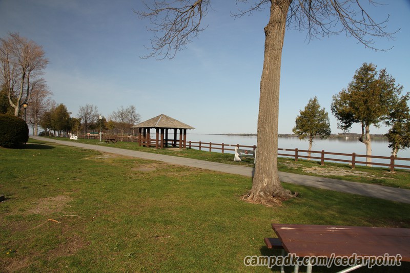 Campsite Photo of Site 10 at Cedar Point State Park, New York - Looking Back Towards Road