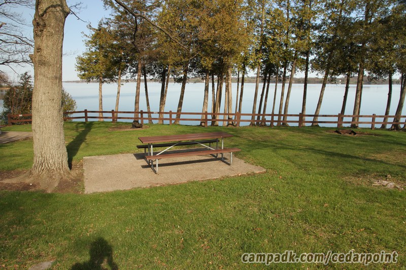 Campsite Photo of Site 4 at Cedar Point State Park, New York - Looking at Site from Part Way In
