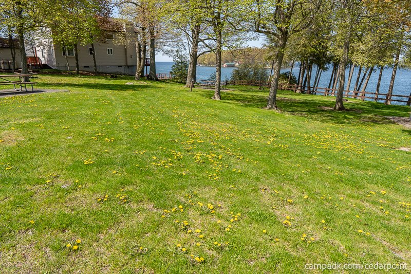 Campsite Photo of Site 4 at Cedar Point State Park, New York - Looking at Site from Road Sign Visible