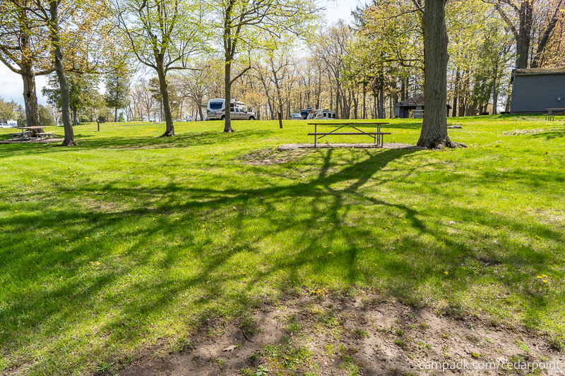 Campsite Photo of Site 4 at Cedar Point State Park, New York - Looking Back Towards Road