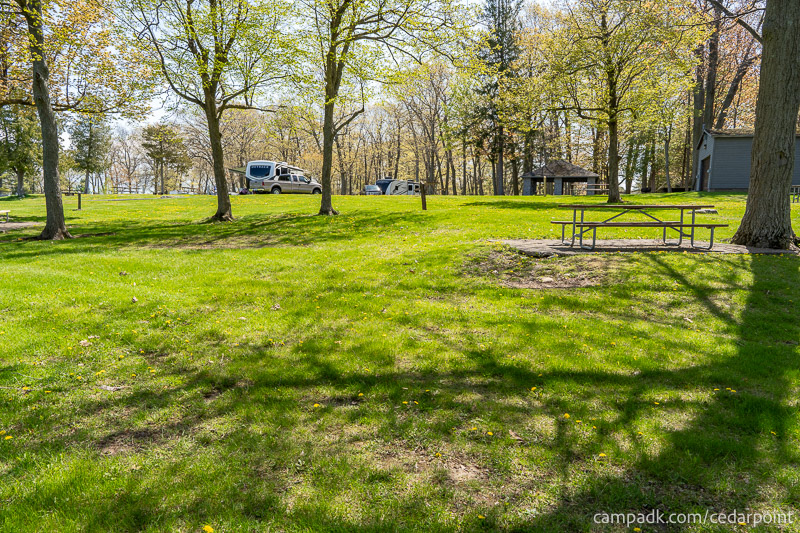 Campsite Photo of Site 4 at Cedar Point State Park, New York - Looking Back Towards Road