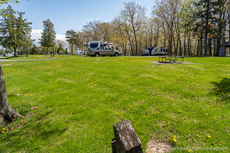 Campsite Photo of Site 4 at Cedar Point State Park, New York - Looking Back Towards Road