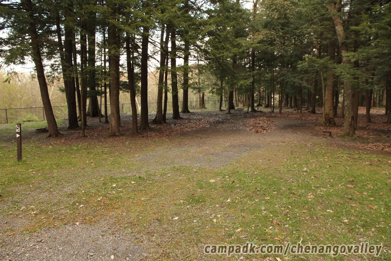 Campsite Photo of Site 163 at Chenango Valley State Park, New York - Looking at Site from Road Sign Visible