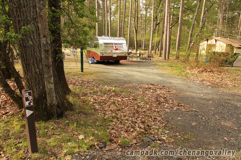 Campsite Photo of Site 89 at Chenango Valley State Park, New York - Looking at Site from Road Sign Visible