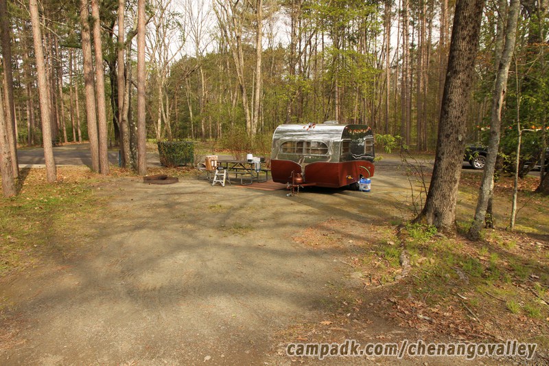 Campsite Photo of Site 89 at Chenango Valley State Park, New York - Looking at Site from Road