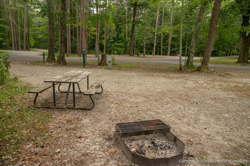 Campsite Photo of Site 89 at Chenango Valley State Park, New York - Cross Site View