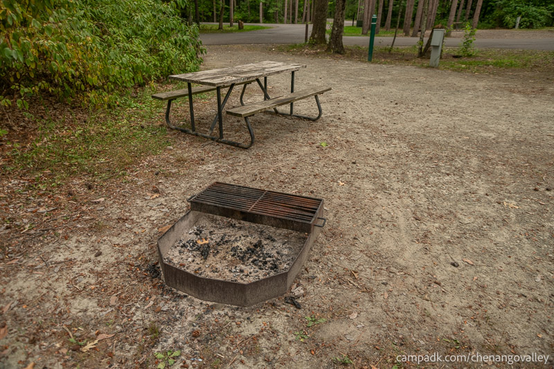 Campsite Photo of Site 89 at Chenango Valley State Park, New York - Fireplace View