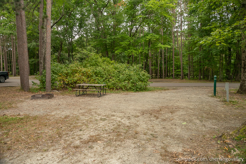 Campsite Photo of Site 89 at Chenango Valley State Park, New York - Looking Back Towards Road