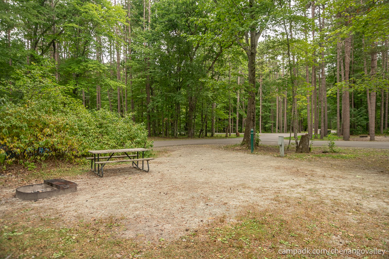 Campsite Photo of Site 89 at Chenango Valley State Park, New York - Looking Back Towards Road