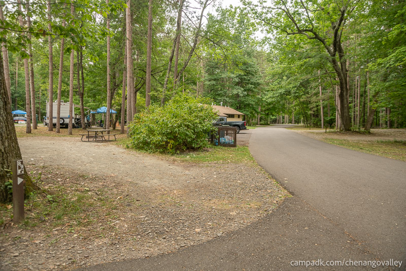 Campsite Photo of Site 89 at Chenango Valley State Park, New York - View Down Road from Campsite