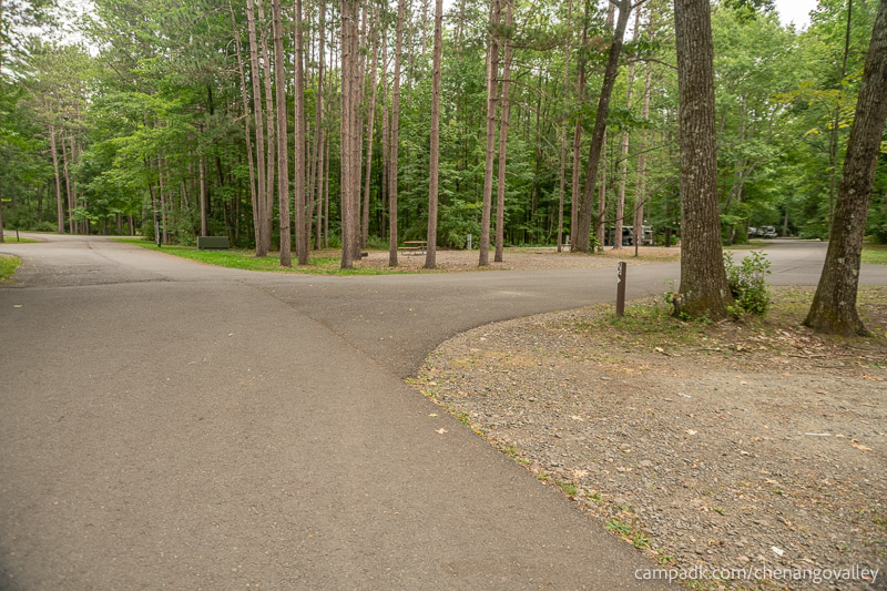 Campsite Photo of Site 89 at Chenango Valley State Park, New York - View Down Road from Campsite