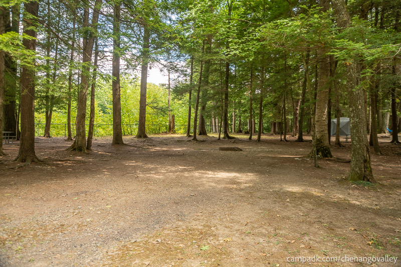 Campsite Photo of Site 163 at Chenango Valley State Park, New York - Looking at Site from Road