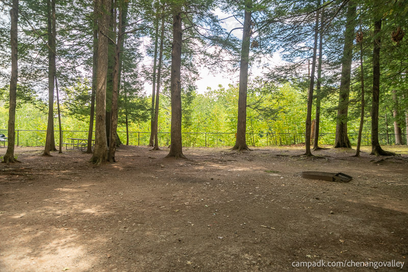 Campsite Photo of Site 163 at Chenango Valley State Park, New York - Looking at Site from Part Way In