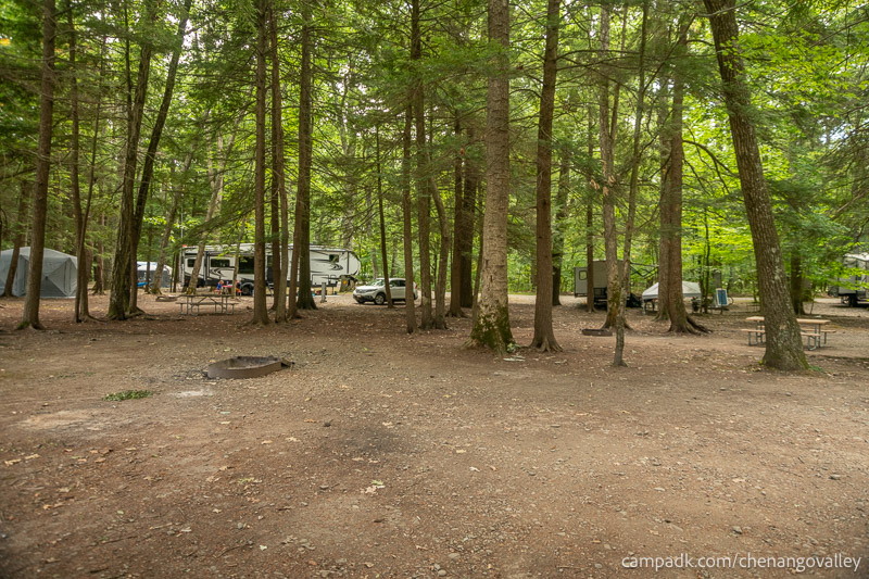 Campsite Photo of Site 163 at Chenango Valley State Park, New York - Cross Site View