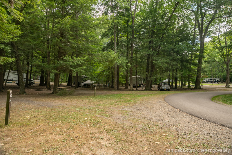 Campsite Photo of Site 163 at Chenango Valley State Park, New York - View Down Road from Campsite
