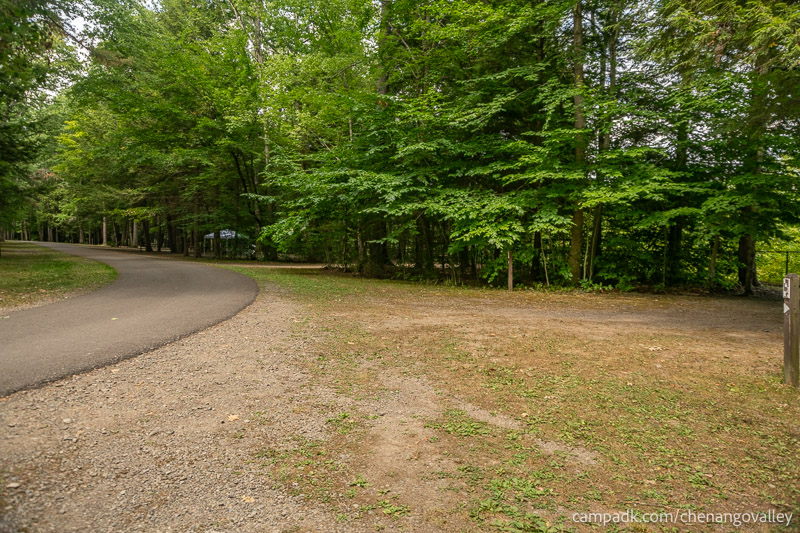 Campsite Photo of Site 163 at Chenango Valley State Park, New York - View Down Road from Campsite