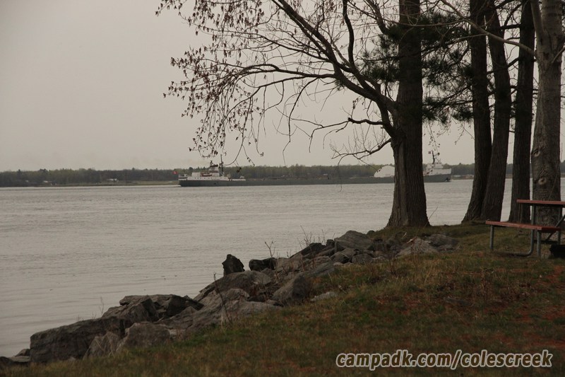 Campsite Photo of Site 83 at Coles Creek State Park, New York - Shoreline and View